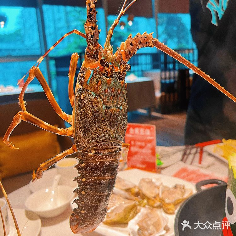 消暑冬瓜盅粥水火锅｜既养生又美味‼️