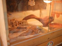 -Rabbit Cafe私房西餐甜点咖啡(栖霞路店)