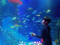 -沈阳海洋探索中心