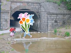 -白水寺森林公园