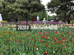 -长春公园(普阳街道)