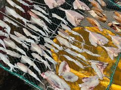 -中国舟山国际水产城