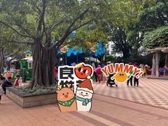 -东风公园