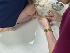 -北京观赏动物医院·24小时大型综合·猫专科·异宠专科
