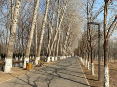 -东郊湿地公园