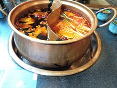 番茄鸳鸯锅-镇江龙·火锅串串(武侯祠店)