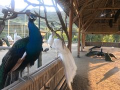 -韶关经律论国际酒店温泉