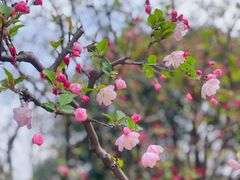 -静安雕塑公园