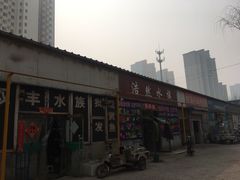 -白佛花鸟鱼虫批发市场小型宠物交易(东区)