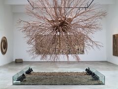 -苏州本色美术馆