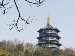 -杭州植物园