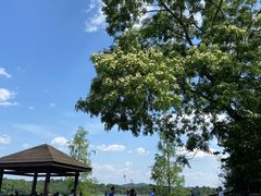 -仙海旅游度假区