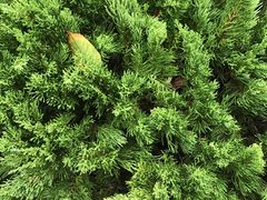 -乡党臊子面(丰庆公园店)