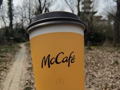 -麦当劳(药谷大道店)