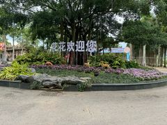 -南宁花花大世界景区