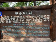 -峡谷浮石林景区