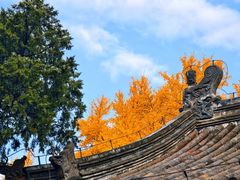 -承恩寺