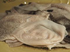 稻田毛肚-渝味晓宇火锅(合川路店)