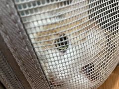 -荔康动物医院(康王北路店)