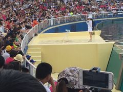 -秦皇岛乐岛海洋王国