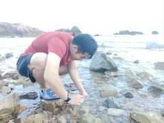 -小麦岛公园