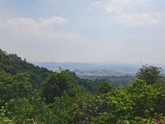 -火炉山森林公园