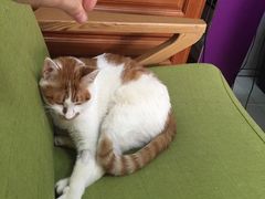 -惠康宠物医院(华能路店)