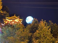 -巴倒烫陆派重庆火锅(南山店)
