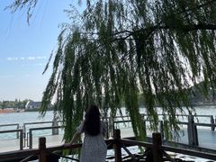 -同里湖度假村(二期店)