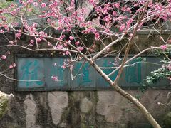 -杭州植物园