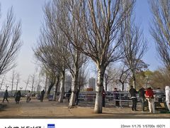 -长白岛森林公园