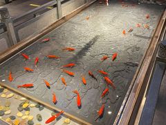 -四季民福烤鸭店(前门店)