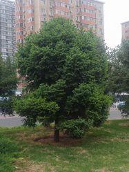 -Oasis Beauty水磨坊科技美肤中心