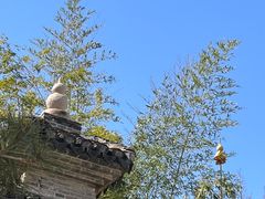 -龙华寺