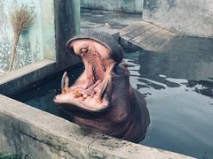 -如皋市龙游湖欢乐世界