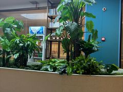 -悦海·家宴·冰花皮皮虾大锅贴(宝龙店)