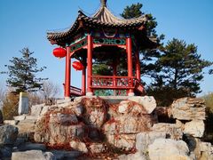 -大兴滨河森林公园