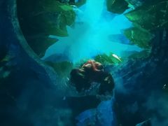 -芜湖方特东方神画