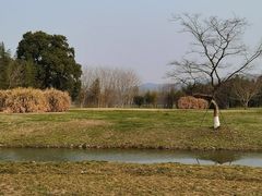 -良渚古城遗址公园