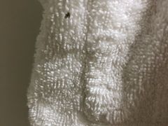 -老味道民宿(栈桥店)