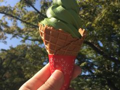 -豆政(金閣寺境内売店)