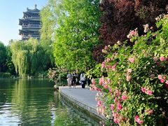 -济南大明湖景区