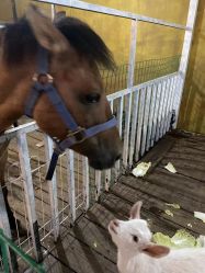 -小蜜蜂农场(凯德七宝购物广场店)