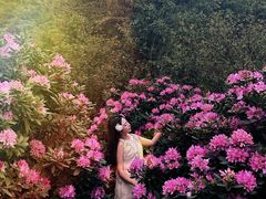 -名花谷生态庄园