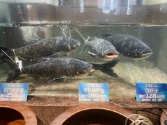 -上名堂·鱼头好吃(体育场路店)