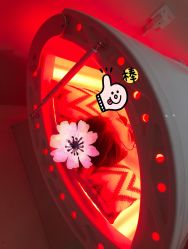 -本小姐美学·半永久纹眉野生眉