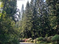 -深圳国际园林花卉博览园