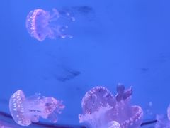 -多彩贵州城极地海洋世界