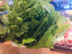 -额尔敦传统涮(光明路店)