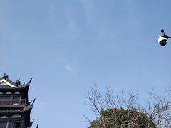 -东湖景区